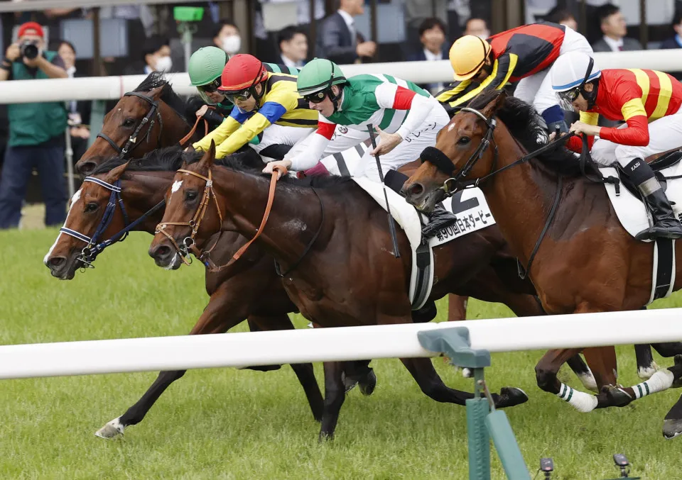 日本賽馬會 澳洲賽馬 東京賽馬場