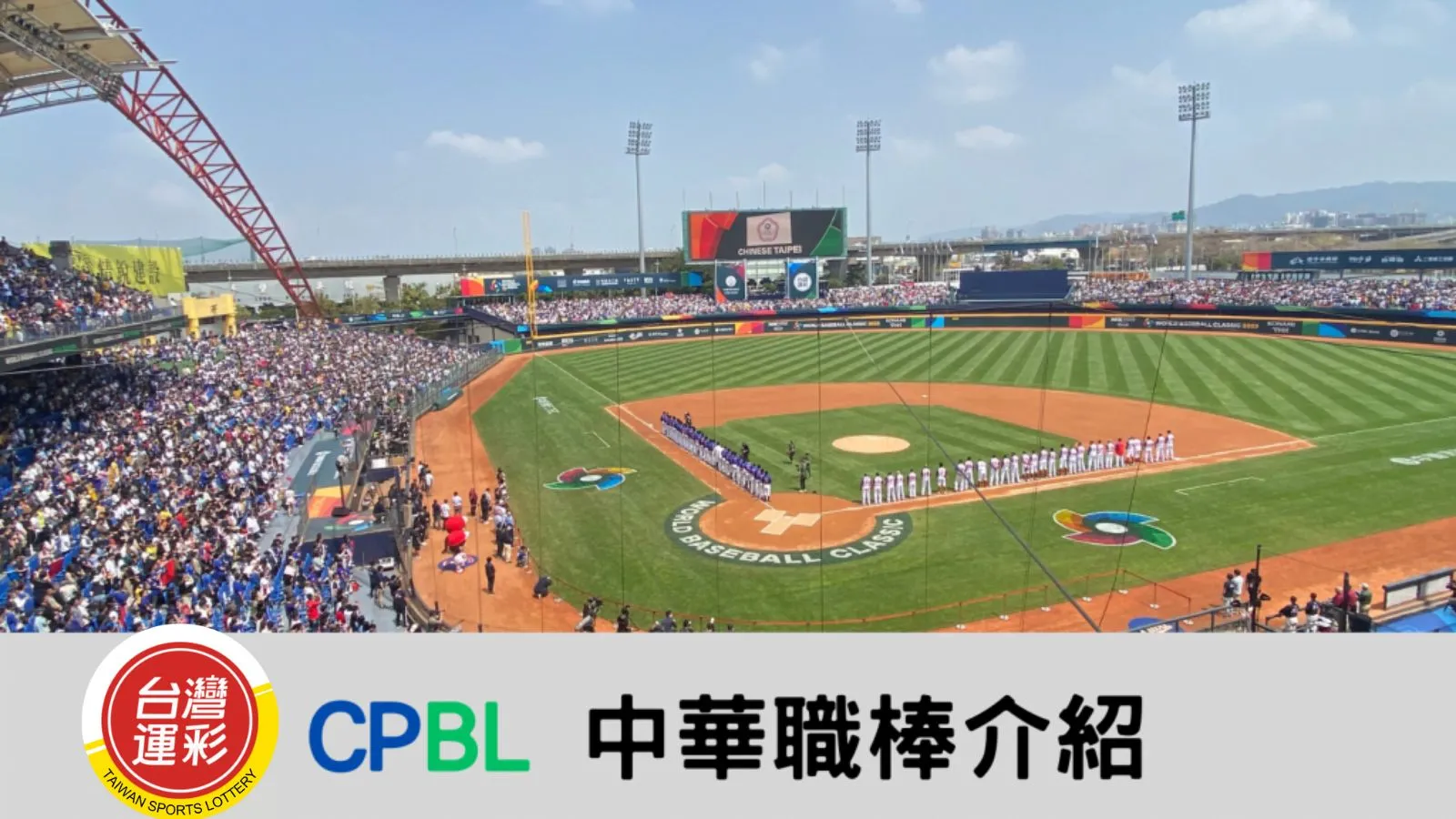中華職棒介紹