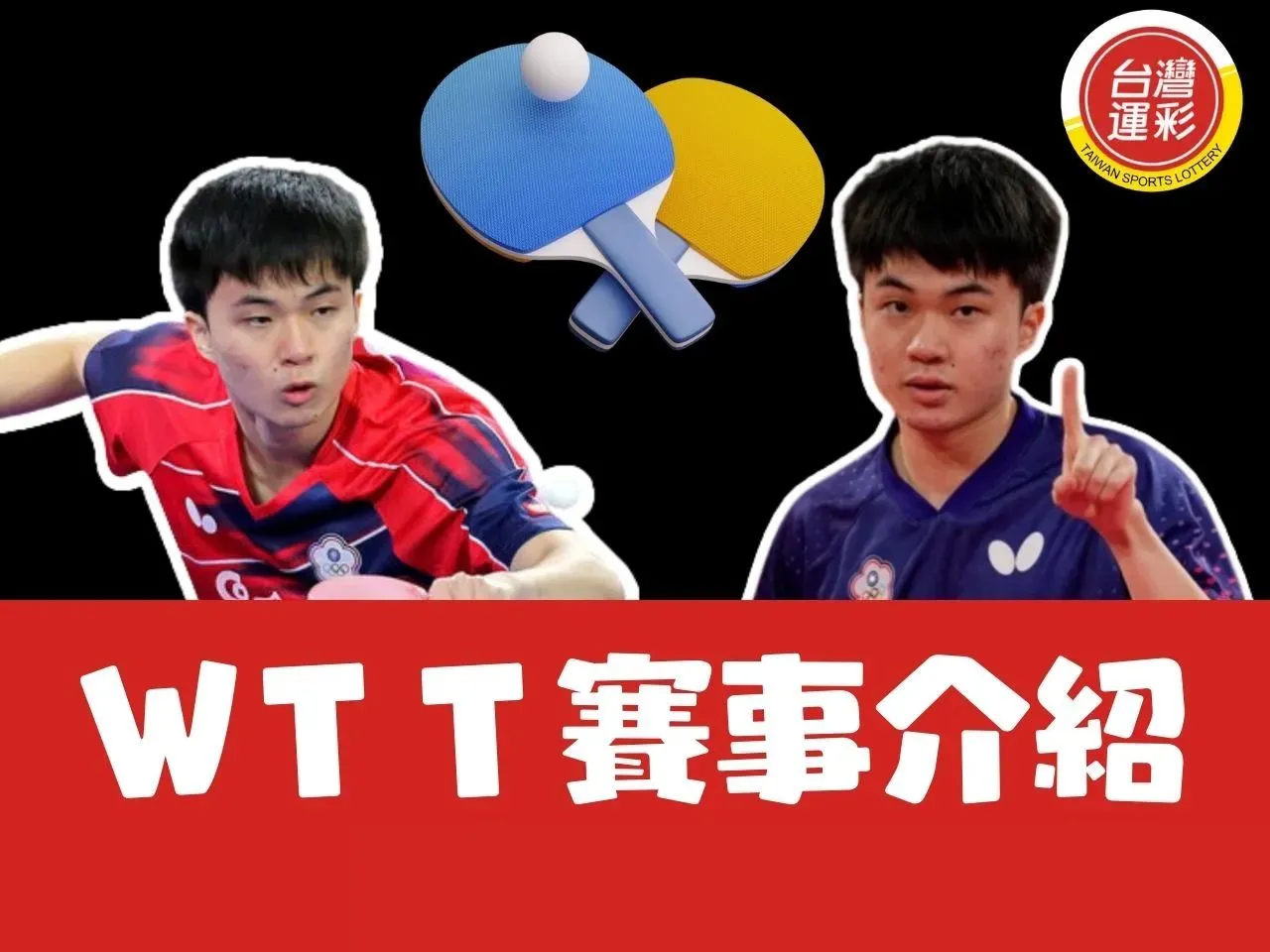 桌球WTT