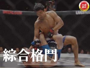 綜合格鬥 綜合格鬥規則 綜合格鬥運動 綜合格鬥運