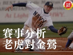 老虎對金鶯 NBA賽事分析 老虎金鶯