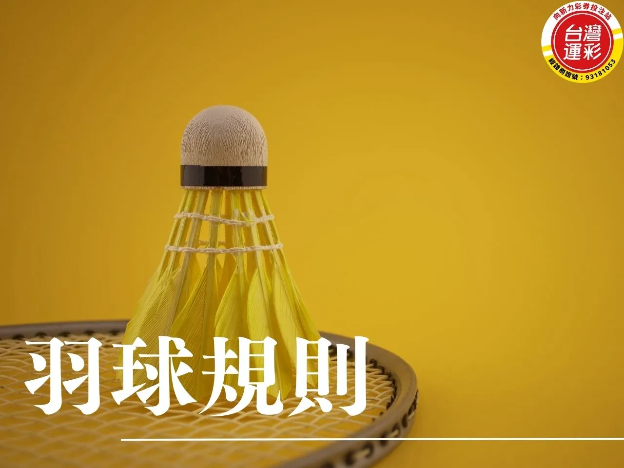 羽球規則 羽球規則懶人包 羽球規則介 羽球規則發球