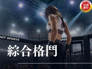 綜合格鬥 格鬥之夜 綜合格鬥比賽 綜合格鬥規則 綜合格鬥運彩